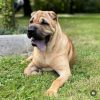 Images de profil de Marine - Blooming Pets - Petsitting et garde d'animaux à domicile