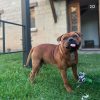 Images de profil de Marine - Blooming Pets - Petsitting et garde d'animaux à domicile