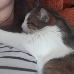 Image de profil de Marina - Blooming Pets - Petsitting et garde d'animaux à domicile