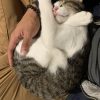 Images de profil de Mateo - Blooming Pets - Petsitting et garde d'animaux à domicile