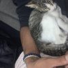 Images de profil de Mateo - Blooming Pets - Petsitting et garde d'animaux à domicile
