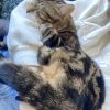 Images de profil de Mathilde - Blooming Pets - Petsitting et garde d'animaux à domicile