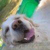 Images de profil de Mathilde - Blooming Pets - Petsitting et garde d'animaux à domicile