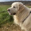 Images de profil de Mathilde - Blooming Pets - Petsitting et garde d'animaux à domicile