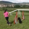 Images de profil de Mathilde - Blooming Pets - Petsitting et garde d'animaux Ă domicile