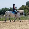 Images de profil de Mathilde - Blooming Pets - Petsitting et garde d'animaux à domicile