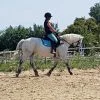 Images de profil de Mathilde - Blooming Pets - Petsitting et garde d'animaux Ă domicile