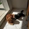 Images de profil de Mathilde - Blooming Pets - Petsitting et garde d'animaux Ă domicile