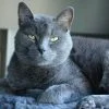 Images de profil de Mathilde - Blooming Pets - Petsitting et garde d'animaux Ă domicile