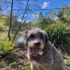 Images de profil de Mathilde - Blooming Pets - Petsitting et garde d'animaux à domicile
