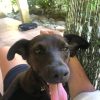 Images de profil de Mathilde - Blooming Pets - Petsitting et garde d'animaux à domicile