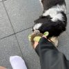 Images de profil de Mathilde - Blooming Pets - Petsitting et garde d'animaux à domicile