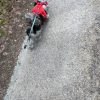 Images de profil de Mathilde - Blooming Pets - Petsitting et garde d'animaux à domicile