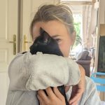 Aya Aya Mon Chat Chat de gouttiĂšre (Commun) Femelle - Garde d'animaux Ă domicile