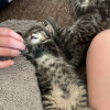 Images de profil de Mayane - Blooming Pets - Petsitting et garde d'animaux à domicile