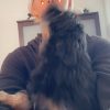 Images de profil de Mayllice - Blooming Pets - Petsitting et garde d'animaux à domicile