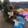 Images de profil de Melanie - Blooming Pets - Petsitting et garde d'animaux à domicile