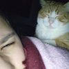Images de profil de Mélanie - Blooming Pets - Petsitting et garde d'animaux à domicile