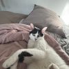 Images de profil de Melissa - Blooming Pets - Petsitting et garde d'animaux à domicile