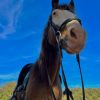 Images de profil de melissa - Blooming Pets - Petsitting et garde d'animaux à domicile