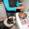 Images de profil de Melissa - Blooming Pets - Petsitting et garde d'animaux à domicile