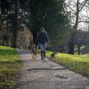 Images de profil de Melissa - Blooming Pets - Petsitting et garde d'animaux à domicile