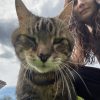 Images de profil de Meline - Blooming Pets - Petsitting et garde d'animaux à domicile