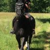 Images de profil de Annabel - Blooming Pets - Petsitting et garde d'animaux à domicile