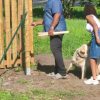 Images de profil de Tihya - Blooming Pets - Petsitting et garde d'animaux à domicile