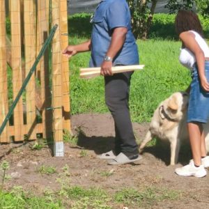 Images de profil de Tihya - Blooming Pets - Petsitting et garde d'animaux Ă domicile