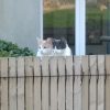Images de profil de Morgan - Blooming Pets - Petsitting et garde d'animaux à domicile