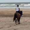 Images de profil de Mauranne - Blooming Pets - Petsitting et garde d'animaux à domicile