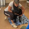 Images de profil de Stefany - Blooming Pets - Petsitting et garde d'animaux à domicile