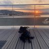 Images de profil de Mylène - Blooming Pets - Petsitting et garde d'animaux à domicile