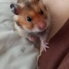 Images de profil de Mylène - Blooming Pets - Petsitting et garde d'animaux à domicile