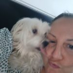 Omessa Mon Chien  Bichon Maltais Femelle - Garde d'animaux à domicile