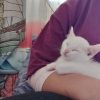 Images de profil de Nada - Blooming Pets - Petsitting et garde d'animaux à domicile