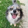 Images de profil de Nadege - Blooming Pets - Petsitting et garde d'animaux à domicile