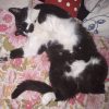 Images de profil de Nadia - Blooming Pets - Petsitting et garde d'animaux à domicile