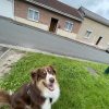 Images de profil de Eugénie - Blooming Pets - Petsitting et garde d'animaux à domicile