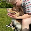 Images de profil de Eugénie - Blooming Pets - Petsitting et garde d'animaux à domicile