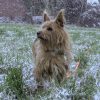 Images de profil de Nathalie - Blooming Pets - Petsitting et garde d'animaux à domicile