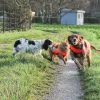 Images de profil de Nathalie - Blooming Pets - Petsitting et garde d'animaux à domicile