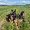Images de profil de Nathalie - Blooming Pets - Petsitting et garde d'animaux à domicile