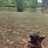 Images de profil de Nawel - Blooming Pets - Petsitting et garde d'animaux à domicile