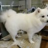 Images de profil de Nelly - Blooming Pets - Petsitting et garde d'animaux à domicile