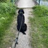 Images de profil de Charlyne - Blooming Pets - Petsitting et garde d'animaux à domicile