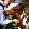 Images de profil de Noémie - Blooming Pets - Petsitting et garde d'animaux à domicile