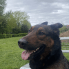 Images de profil de Nicoline - Blooming Pets - Petsitting et garde d'animaux à domicile