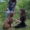Images de profil de Nina - Blooming Pets - Petsitting et garde d'animaux à domicile
